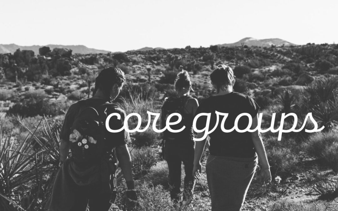 “I’m New to the Vineyard and just joined a core group…”